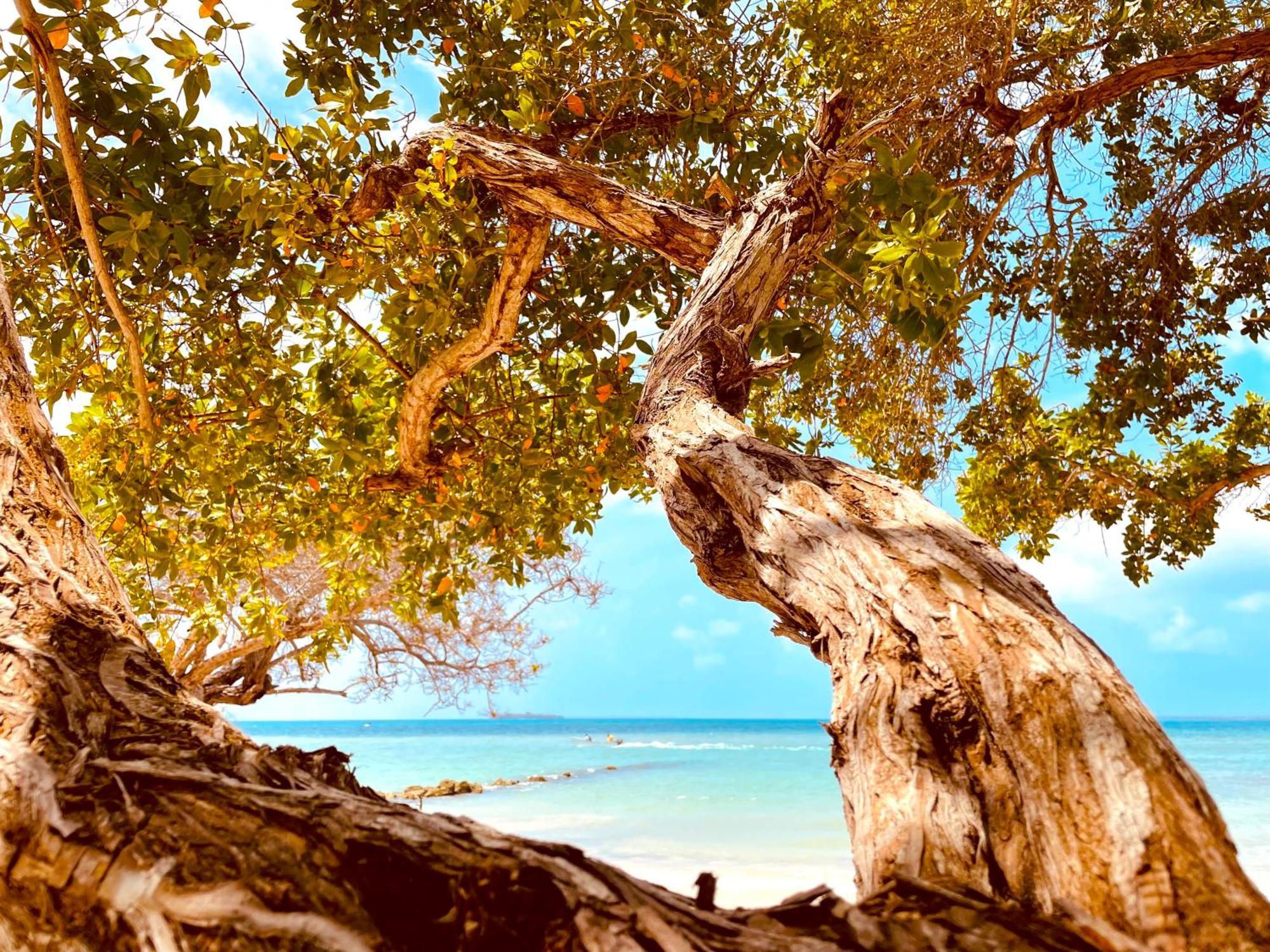 Carey Beach Barú Luaran gambar